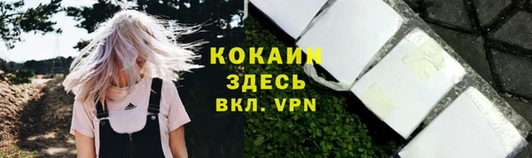 первитин Ельня