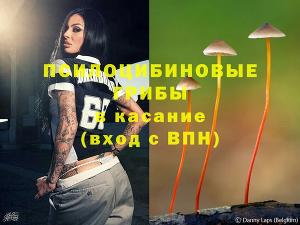 первитин Ельня