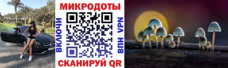 Псилоцибиновые грибы GOLDEN TEACHER  гидра tor  Сасово 